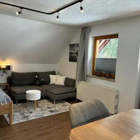 Haus Sonnleitner Rittisberg Appartement