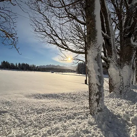 Haus Sonnleitner Rittisberg Appartement *